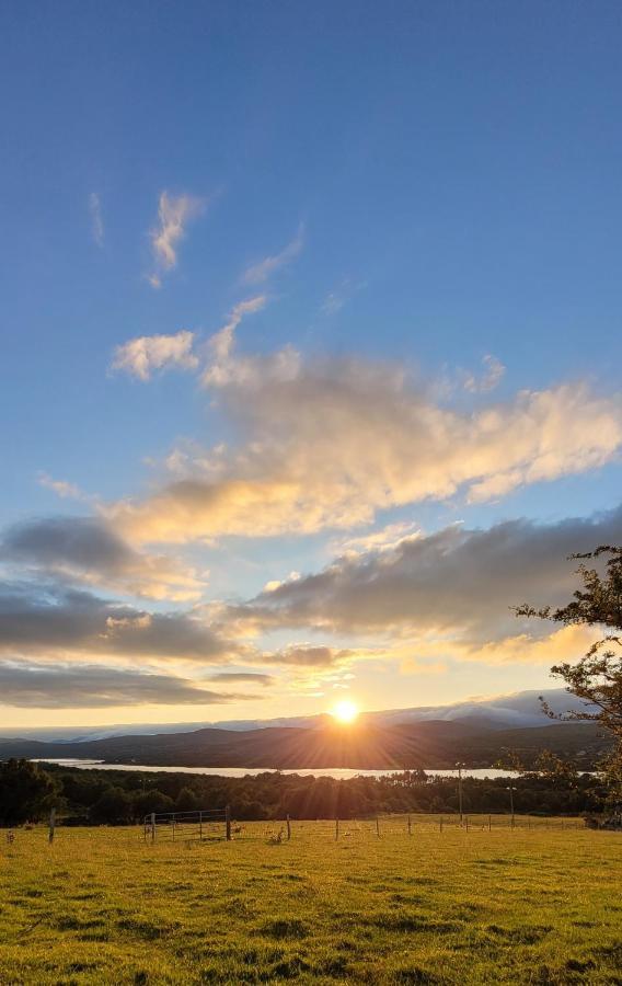 Oaklane Glamping Cabins Kenmare Dış mekan fotoğraf