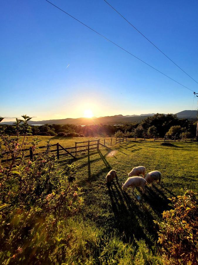 Oaklane Glamping Cabins Kenmare Dış mekan fotoğraf