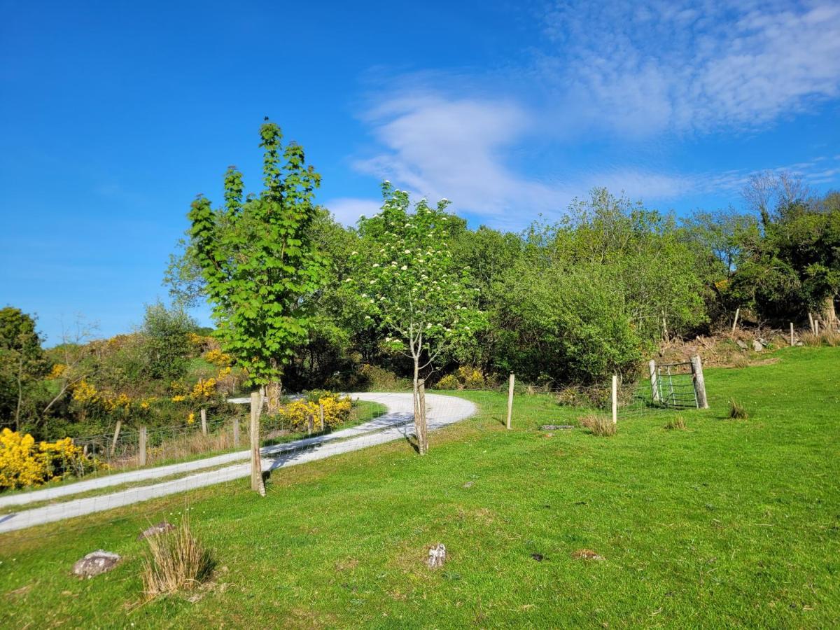 Oaklane Glamping Cabins Kenmare Dış mekan fotoğraf