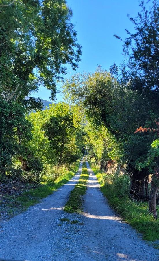 Oaklane Glamping Cabins Kenmare Dış mekan fotoğraf