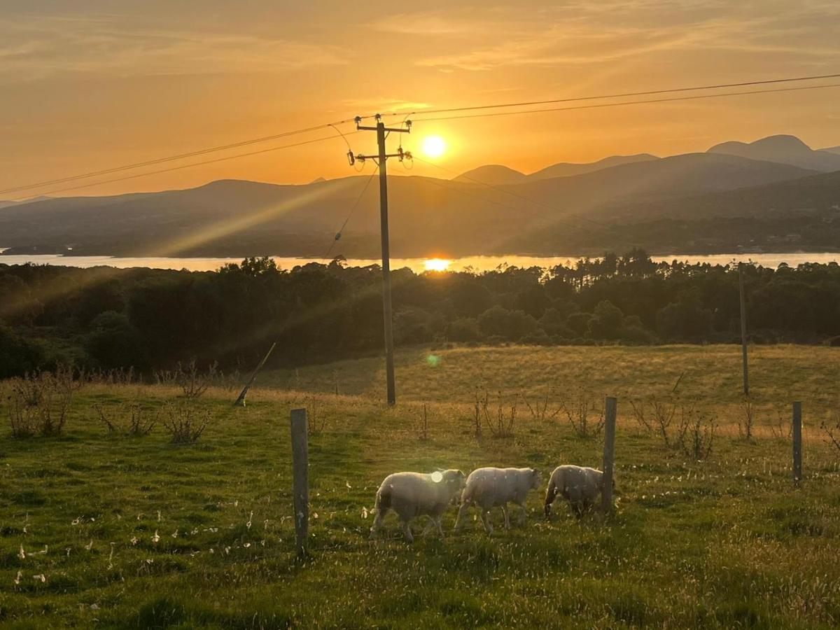 Oaklane Glamping Cabins Kenmare Dış mekan fotoğraf